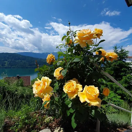 Haus Kraller-Urlaub Mit Seeblick Millstatt Exterior photo
