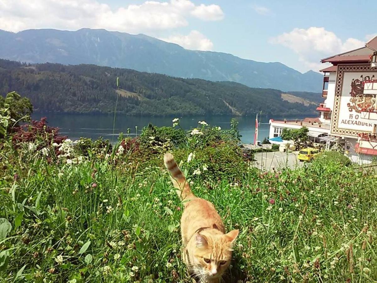 Haus Kraller-urlaub Mit Seeblick Apartment
