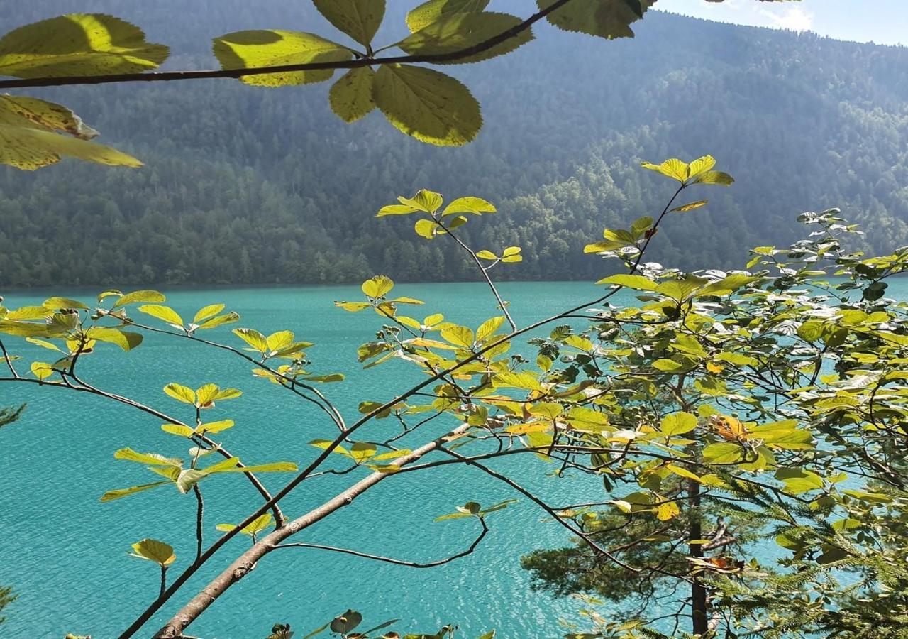 Haus Kraller-urlaub Mit Seeblick Apartment Millstatt
