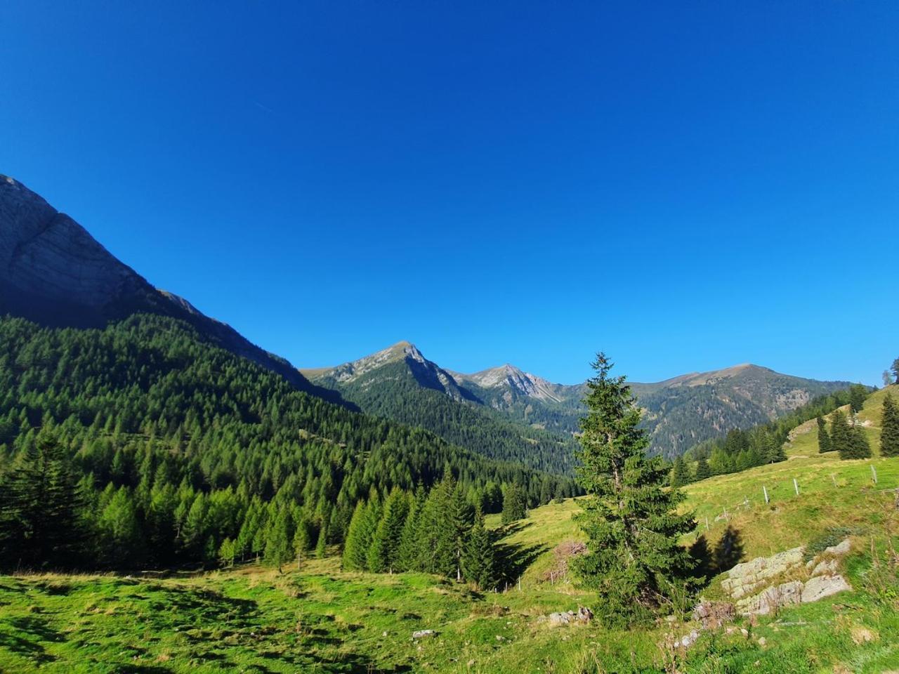 Apartment Haus Kraller-urlaub Mit Seeblick *