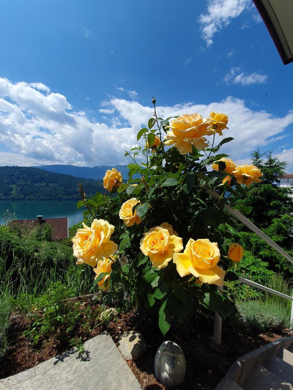 Haus Kraller-urlaub Mit Seeblick Millstatt